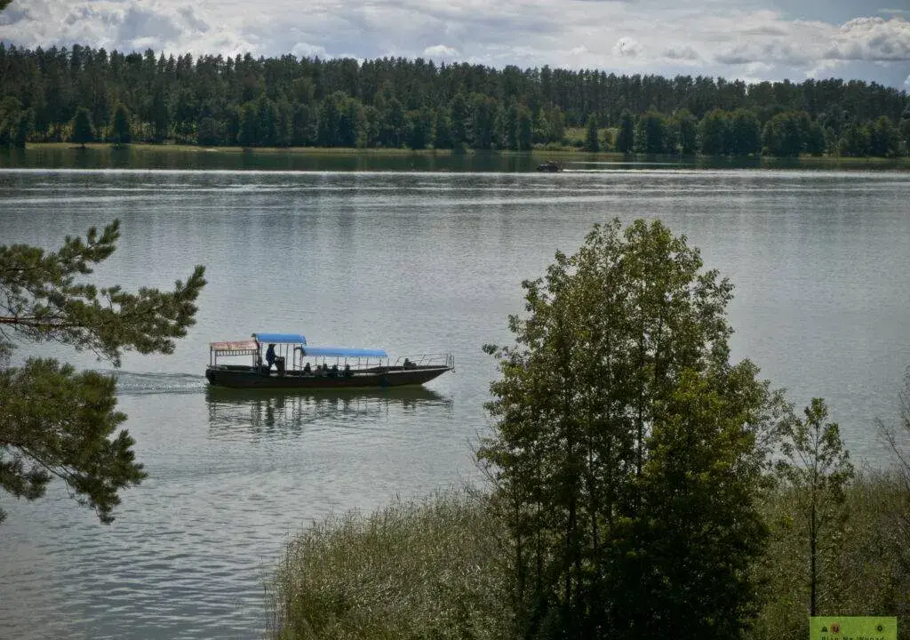Jezioro Białe Augustowskie: Przewodnik po atrakcjach i aktywnym wypoczynku