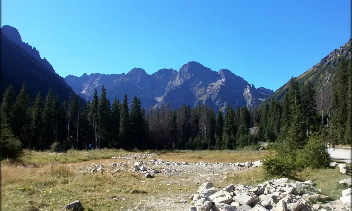 Widok na Tatry, być może Rysy 2499 czy 2503. Góry, las i kamienista dolina.