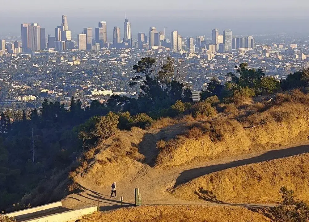 Los Angeles: Gdzie leży i dlaczego warto odwiedzić Miasto Aniołów?