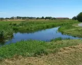 Wągrowiec: Gdzie leży? Odkryj unikalne skrzyżowanie rzek i atrakcje!