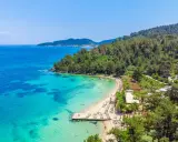 Malownicza plaża z turkusową wodą i sosnowym lasem. Idealne miejsce na relaks i odkrywanie atrakcji Thassos.