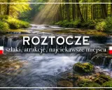 Roztocze lubelskie: malowniczy potok w lesie, wodospady, szlaki i najciekawsze miejsca.