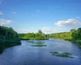 Spokojna rzeka, otoczona bujną zielenią, wpływa do Balatonu. Woda lśni pod błękitnym niebem z białymi chmurami.