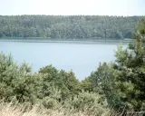 Jezioro Głębokie Lubelskie: Przewodnik po raju na Pojezierzu!