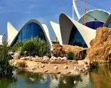 Różowe flamingi odpoczywają przy wodzie przed futurystycznym budynkiem, który jest częścią największego oceanarium w Europie.