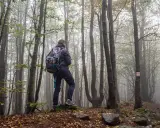 Wędrowiec z plecakiem na mglistym szlaku w Górach Sowich. Jesienne liście i drzewa tworzą tajemniczą atmosferę.