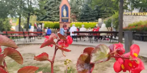 Kwiaty przed kapliczką w Gietrzwałdzie, gdzie wierni modlą się przy figurze Matki Bożej.