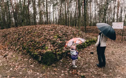 Dziecko i dorosły z parasolami zwiedzają tajemnicze piramidy kujawskie w lesie.
