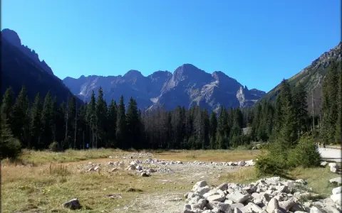 Widok na Tatry, być może Rysy 2499 czy 2503. Góry, las i kamienista dolina.