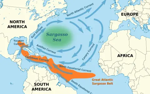 Mapa prądów oceanicznych Atlantyku, z zaznaczonym zielonym obszarem Morza Sargassowego i pomarańczowym Pasem Sargassowym.