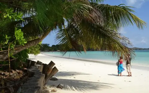 Rajska plaża z palmami, turkusową wodą i dwiema osobami. Tak właśnie wyglądają Seszele, gdzie leżą te rajskie wyspy.
