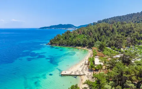 Malownicza plaża z turkusową wodą i sosnowym lasem. Idealne miejsce na relaks i odkrywanie atrakcji Thassos.