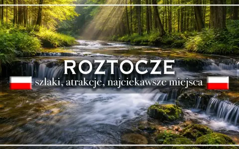 Roztocze lubelskie: malowniczy potok w lesie, wodospady, szlaki i najciekawsze miejsca.