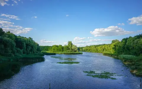 Spokojna rzeka, otoczona bujną zielenią, wpływa do Balatonu. Woda lśni pod błękitnym niebem z białymi chmurami.