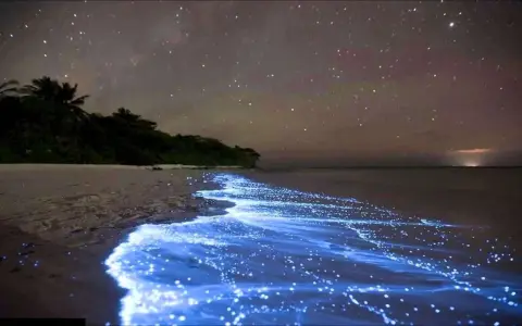 Nocne Malediwy: plaża rozświetlona bioluminescencyjnym morzem gwiazd, a nad nią rozgwieżdżone niebo.