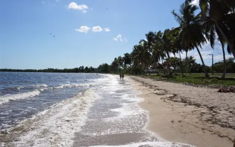 Piękna plaża na wyspie Kuba, z palmami i turkusową wodą. Dwie osoby spacerują brzegiem morza.