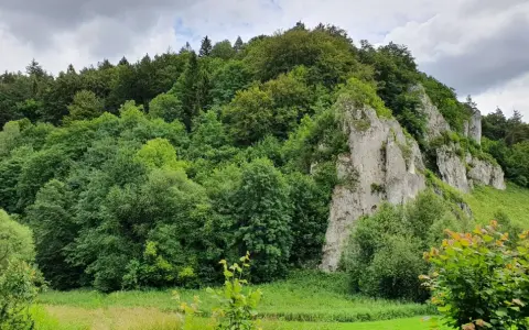 Zielony las i skaliste zbocza, idealne na wędrówkę trasą Maczuga Herkulesa.
