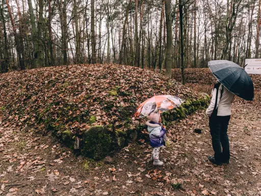 Dziecko i dorosły z parasolami zwiedzają tajemnicze piramidy kujawskie w lesie.