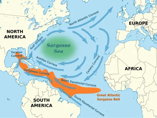 Mapa prądów oceanicznych Atlantyku, z zaznaczonym zielonym obszarem Morza Sargassowego i pomarańczowym Pasem Sargassowym.