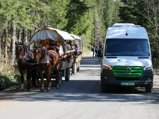 Droga do Morskiego Oka. Konne powozy i meleksy czekają na turystów. Cennik dostępny w punkcie informacji.