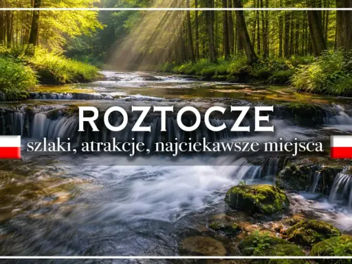 Roztocze lubelskie: malowniczy potok w lesie, wodospady, szlaki i najciekawsze miejsca.
