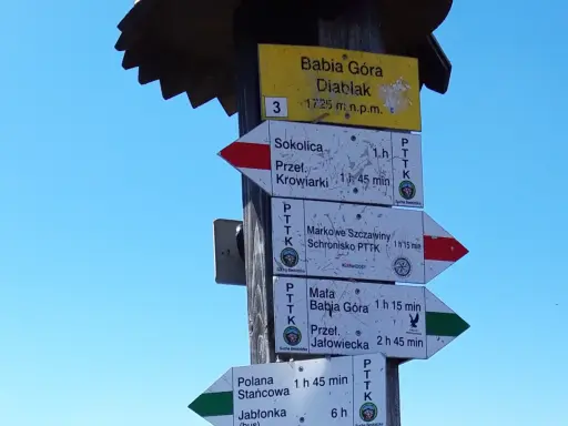 Rozdroże szlaków na Babiej Górze. Widać drogowskazy na Diablak, Sokolicę, Markowe Szczawiny i Małą Babią Górę. To może być najłatwiejszy szlak na Babią Górę.