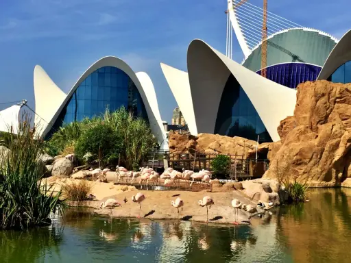Różowe flamingi odpoczywają przy wodzie przed futurystycznym budynkiem, który jest częścią największego oceanarium w Europie.
