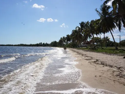 Piękna plaża na wyspie Kuba, z palmami i turkusową wodą. Dwie osoby spacerują brzegiem morza.