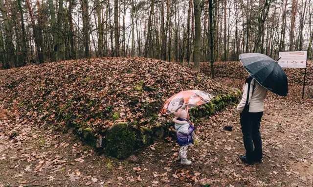 Dziecko i dorosły z parasolami zwiedzają tajemnicze piramidy kujawskie w lesie.