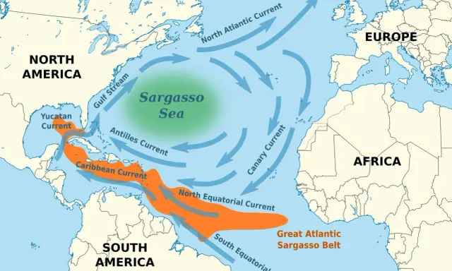 Mapa prądów oceanicznych Atlantyku, z zaznaczonym zielonym obszarem Morza Sargassowego i pomarańczowym Pasem Sargassowym.