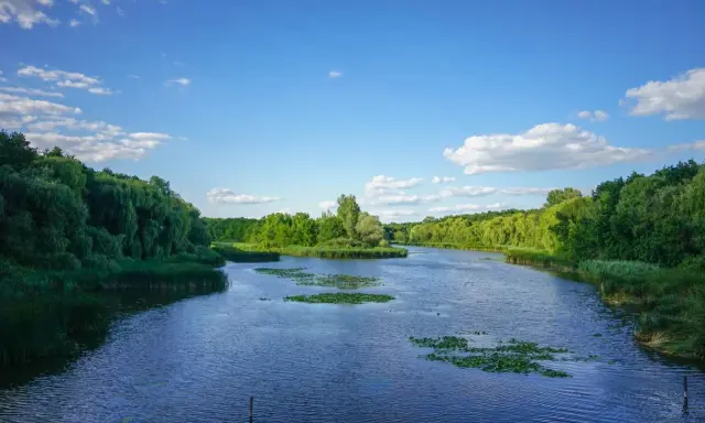 Spokojna rzeka, otoczona bujną zielenią, wpływa do Balatonu. Woda lśni pod błękitnym niebem z białymi chmurami.