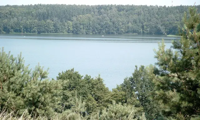 Jezioro Głębokie Lubelskie: Przewodnik po raju na Pojezierzu!