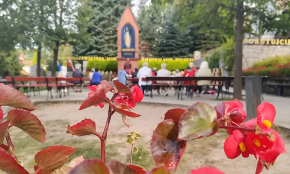 Kwiaty przed kapliczką w Gietrzwałdzie, gdzie wierni modlą się przy figurze Matki Bożej.