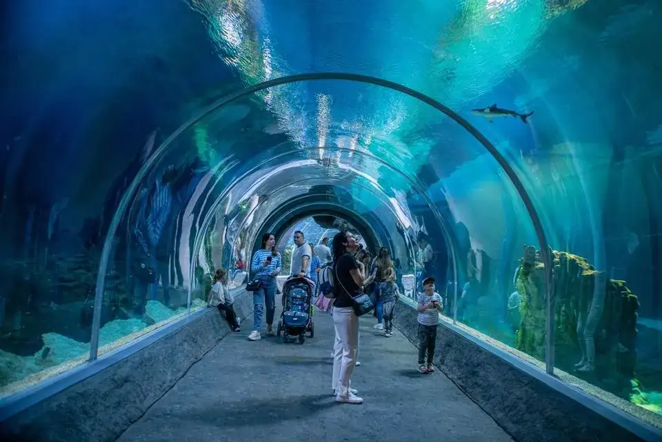 Łódź Orientarium ZOO podwodny tunel