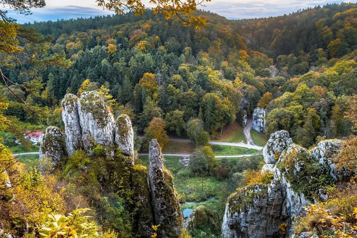 Ojcowski Park Narodowy, gdzie zacząć? Jesienne barwy lasów i wapienne skały tworzą malowniczy krajobraz.