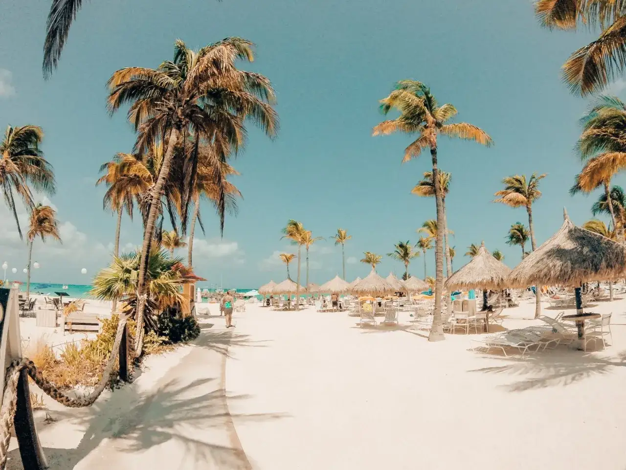Aruba wyspa: piaszczysta plaża z palmami, leżakami i słomianymi parasolami pod błękitnym niebem.